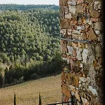Bed & Breakfast Podere Querceto